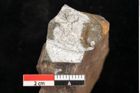 Foto (Detailsansicht) von Quercus palaeoilex Ettingshausen (NHMW-GEO-2024-0188-0973)